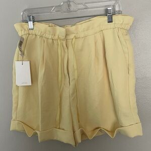 NWT Aritzia Wilfred Shorts
